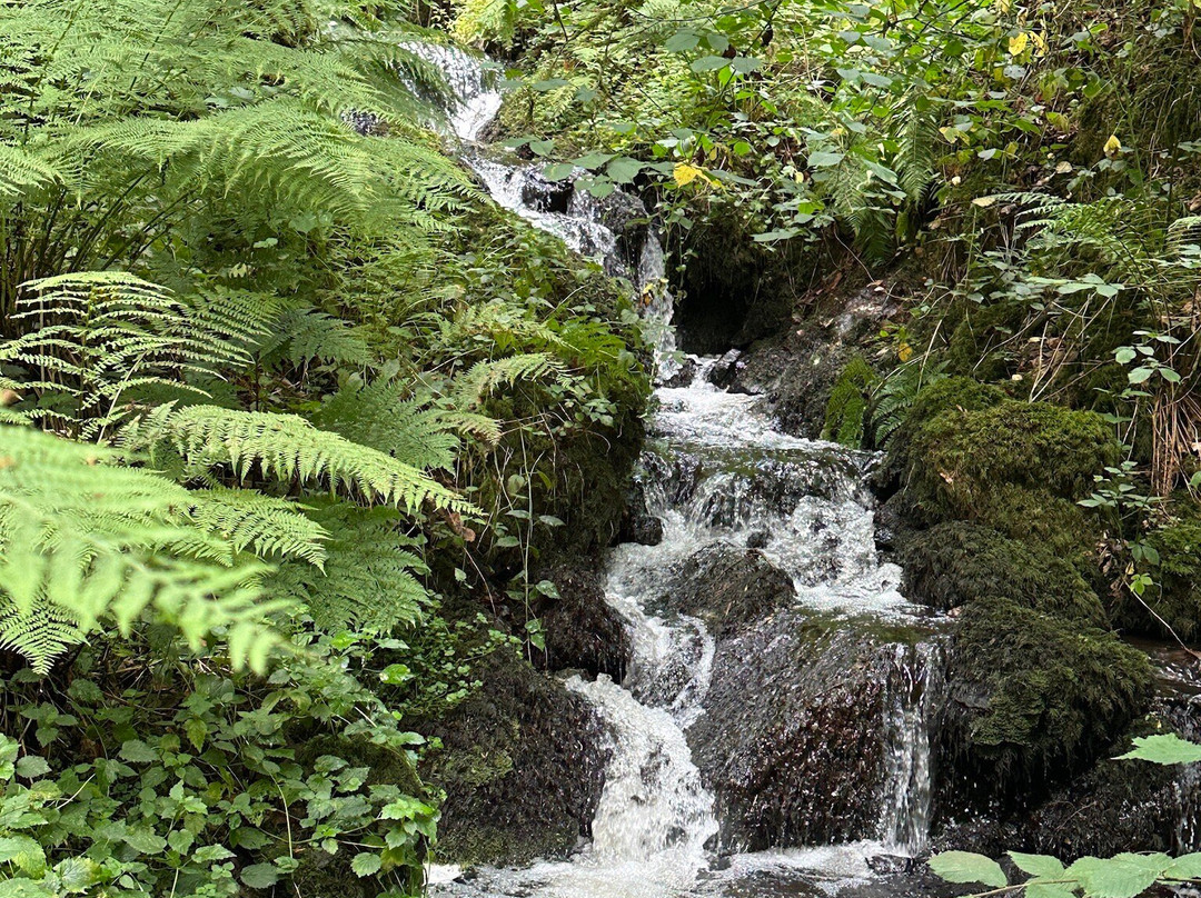 Moorcote Country Guest House, Moretonhampstead, Dartmoor主图