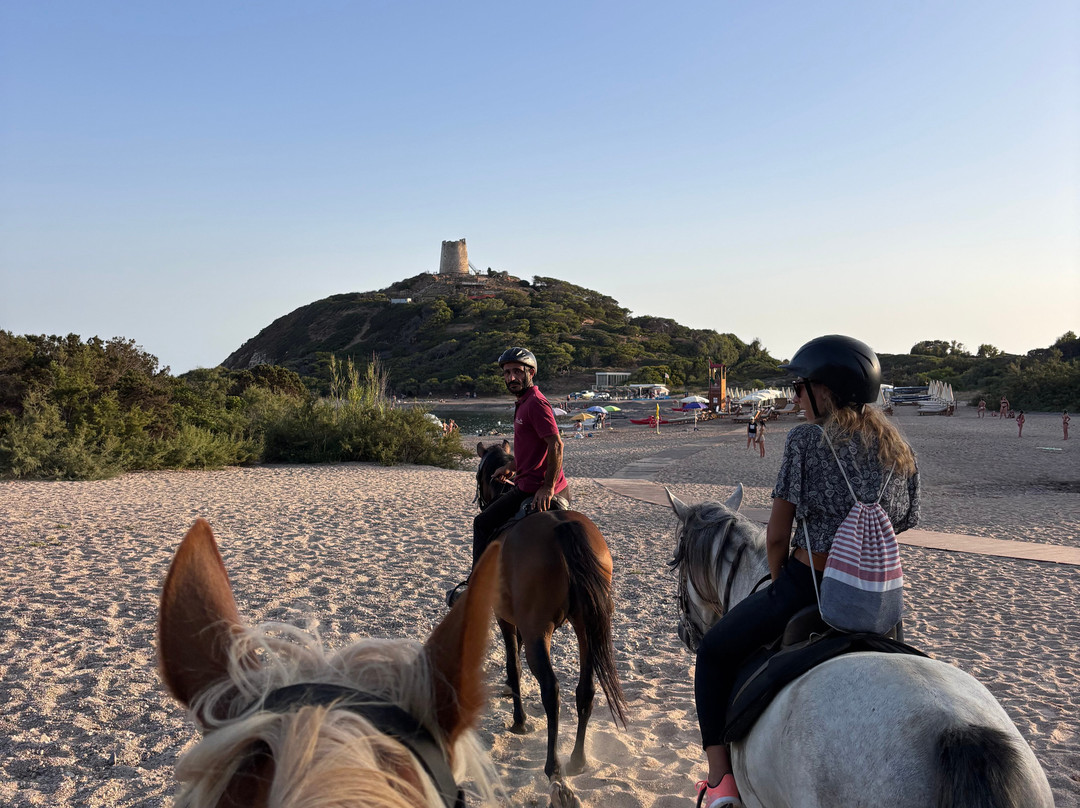 Maneggio Quattro Mori-Domus de Maria必去景点