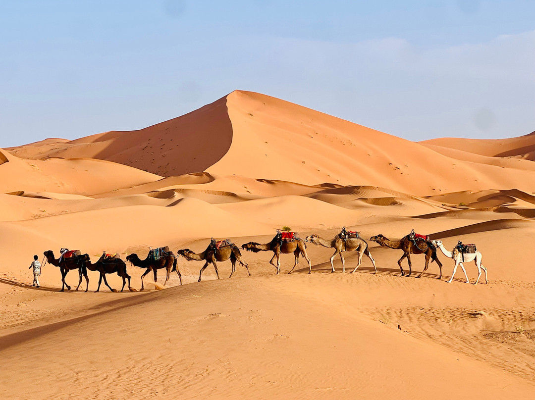 Viajar-Marruecos-马拉喀什必去景点