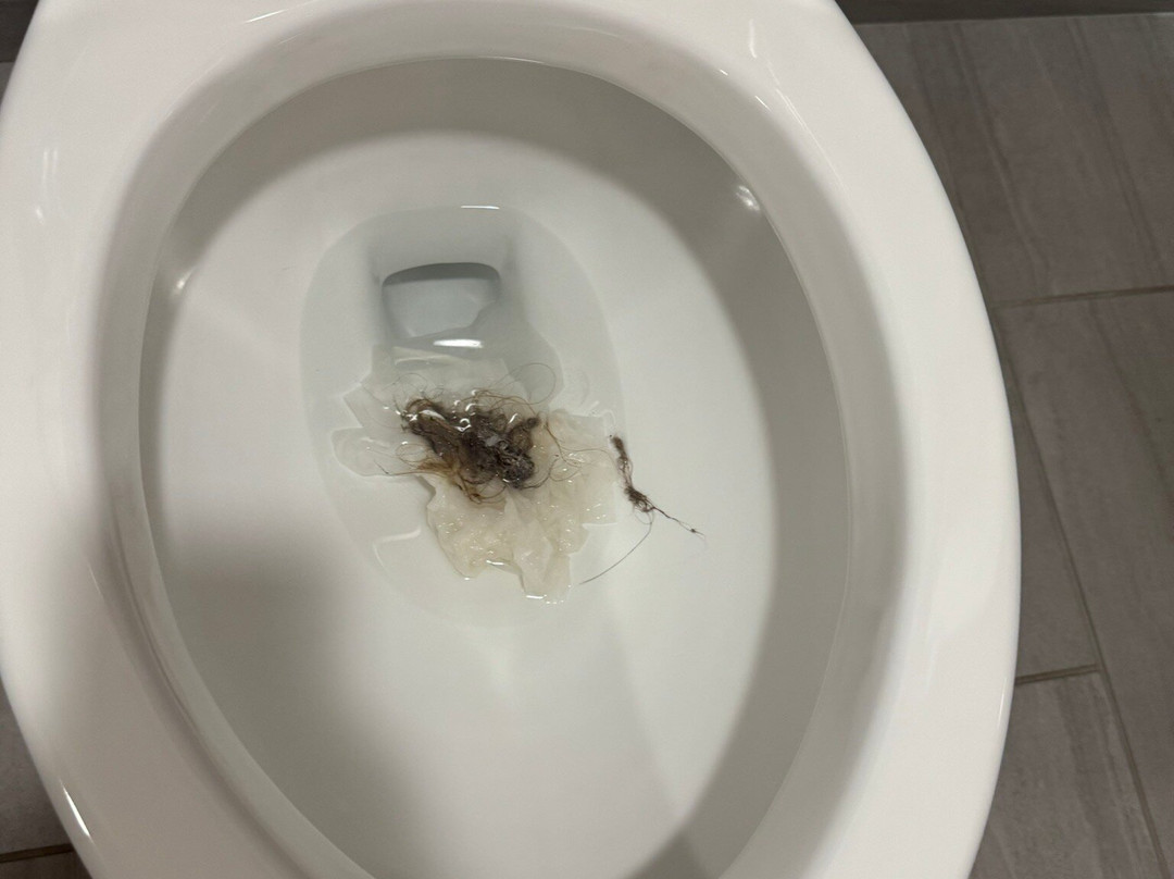 Best Western Plus Deridder Inn & Suites主图