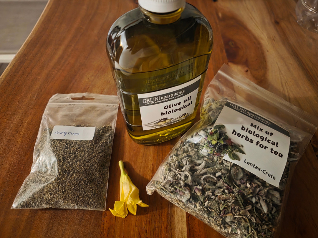 Galini Studios Lentas主图