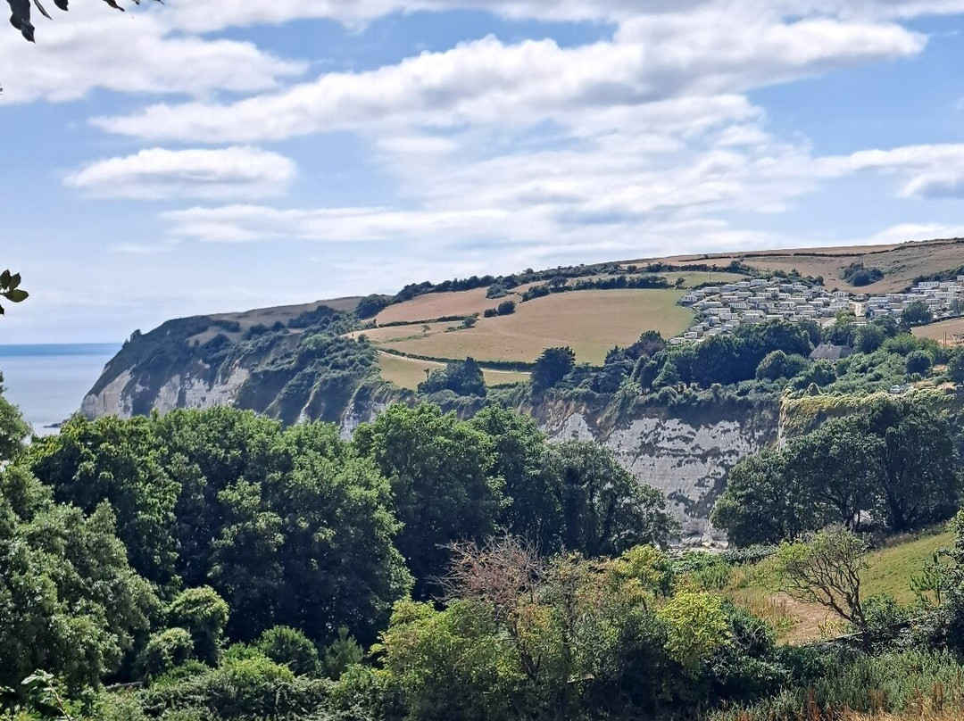 Belmont House Beer主图