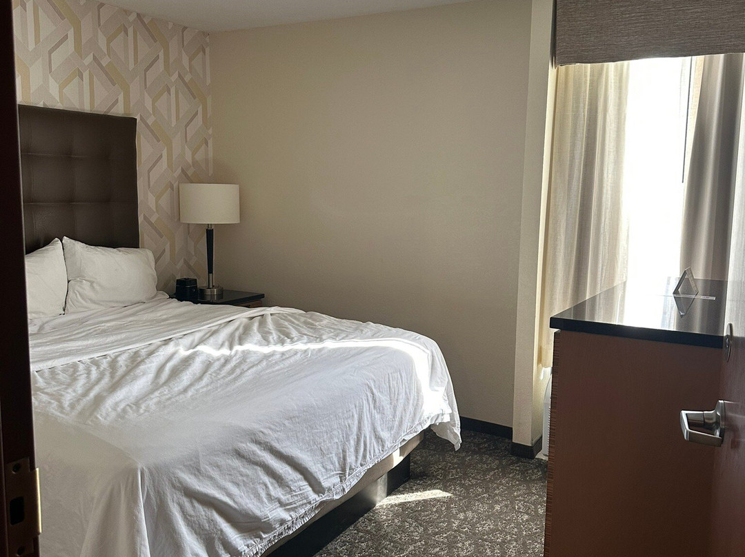 Drury Inn & Suites Birmingham Lakeshore Drive主图
