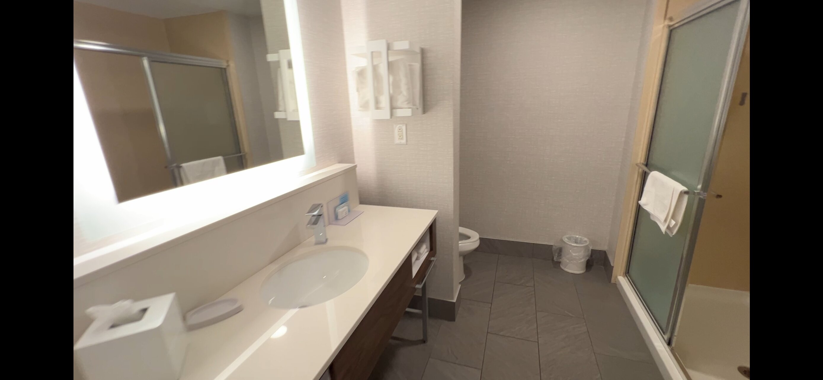 Hampton Inn & Suites Lanett - West Point-浴室