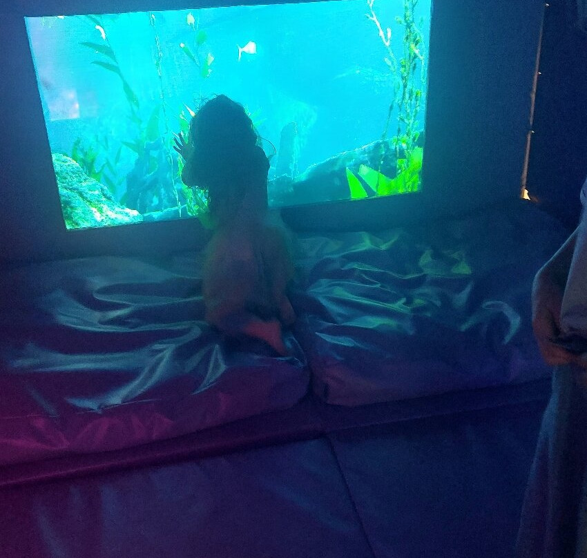 Play Valley - Doncaster-唐克斯特必去景点