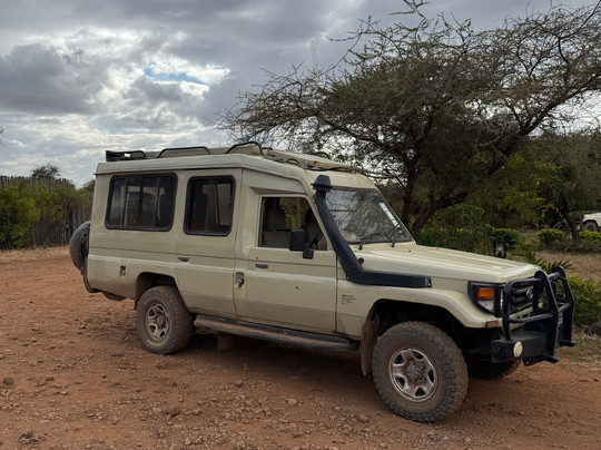 Nemm Tours and Safaris-迪亚尼必去景点