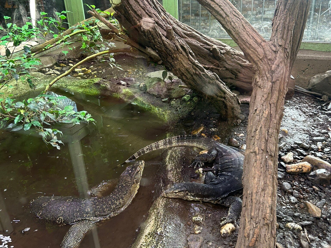 Terrazoo Rheinberg-Rheinberg必去景点