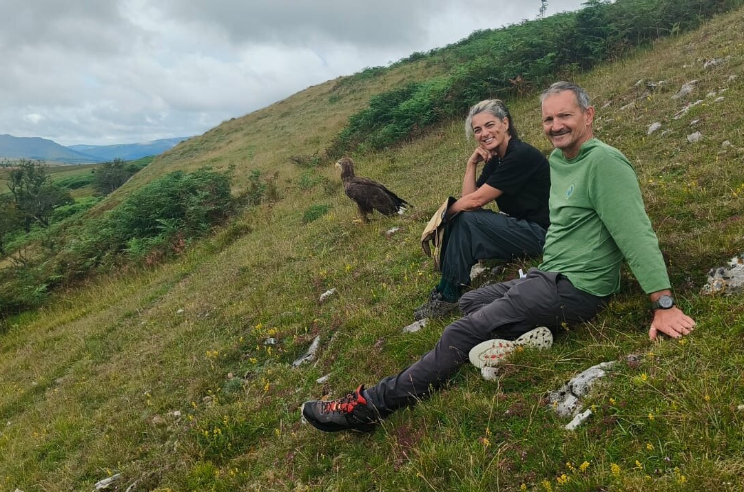 Wings Of Wales-布雷肯比肯斯国家公园必去景点