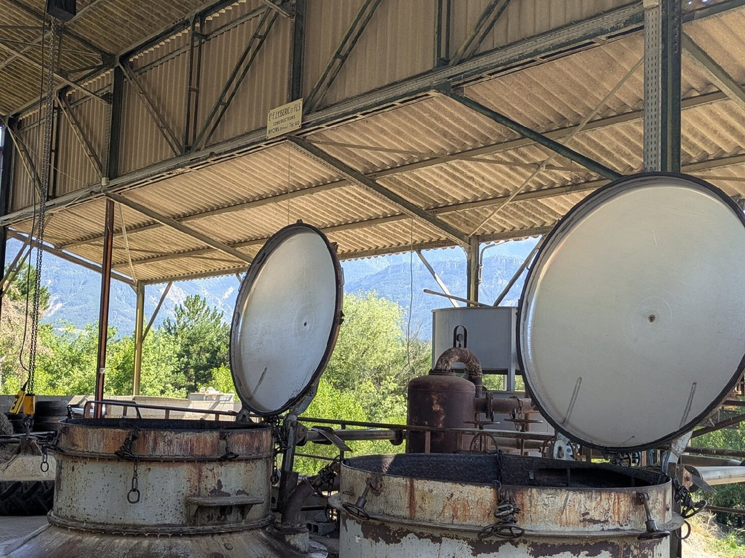 Distillerie De Lavande Bleudiois