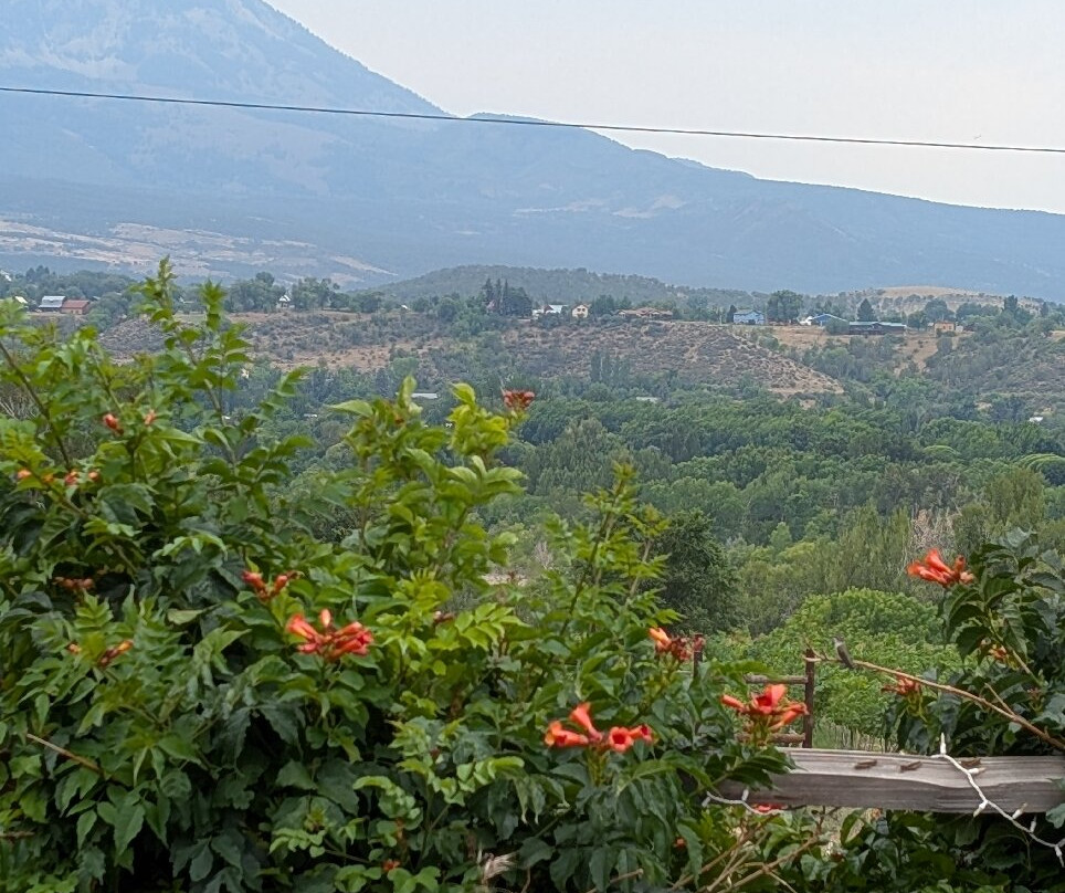 Qutori Wines LLC-Paonia必去景点