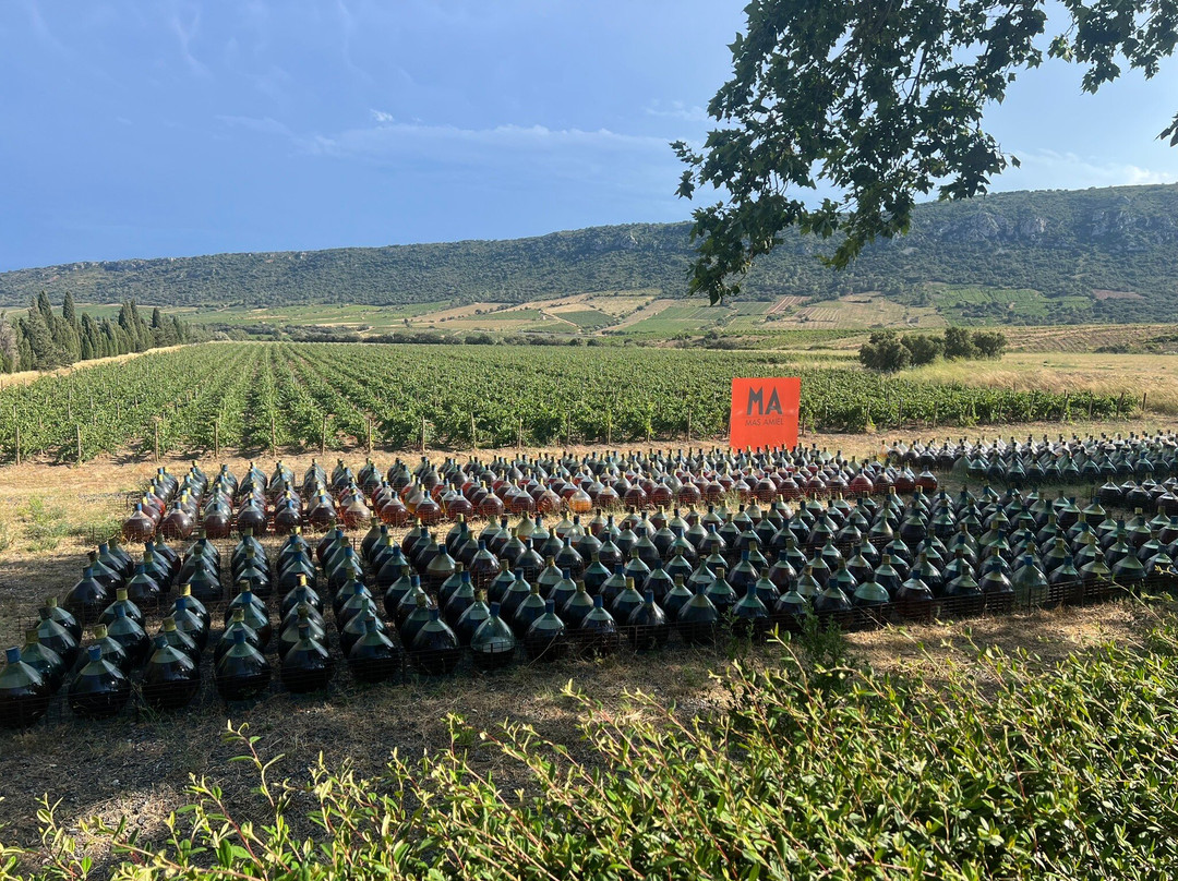 Mas Amiel-Maury必去景点