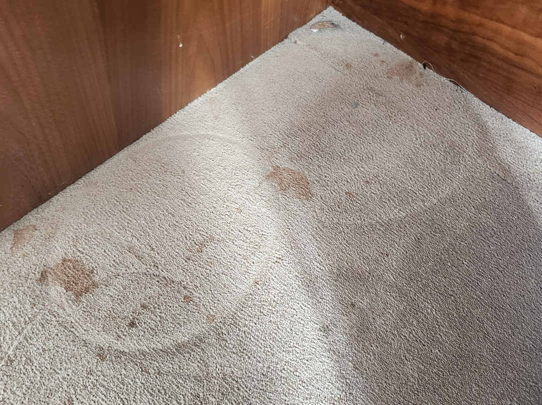 巴利罗宾乡村旅馆主图