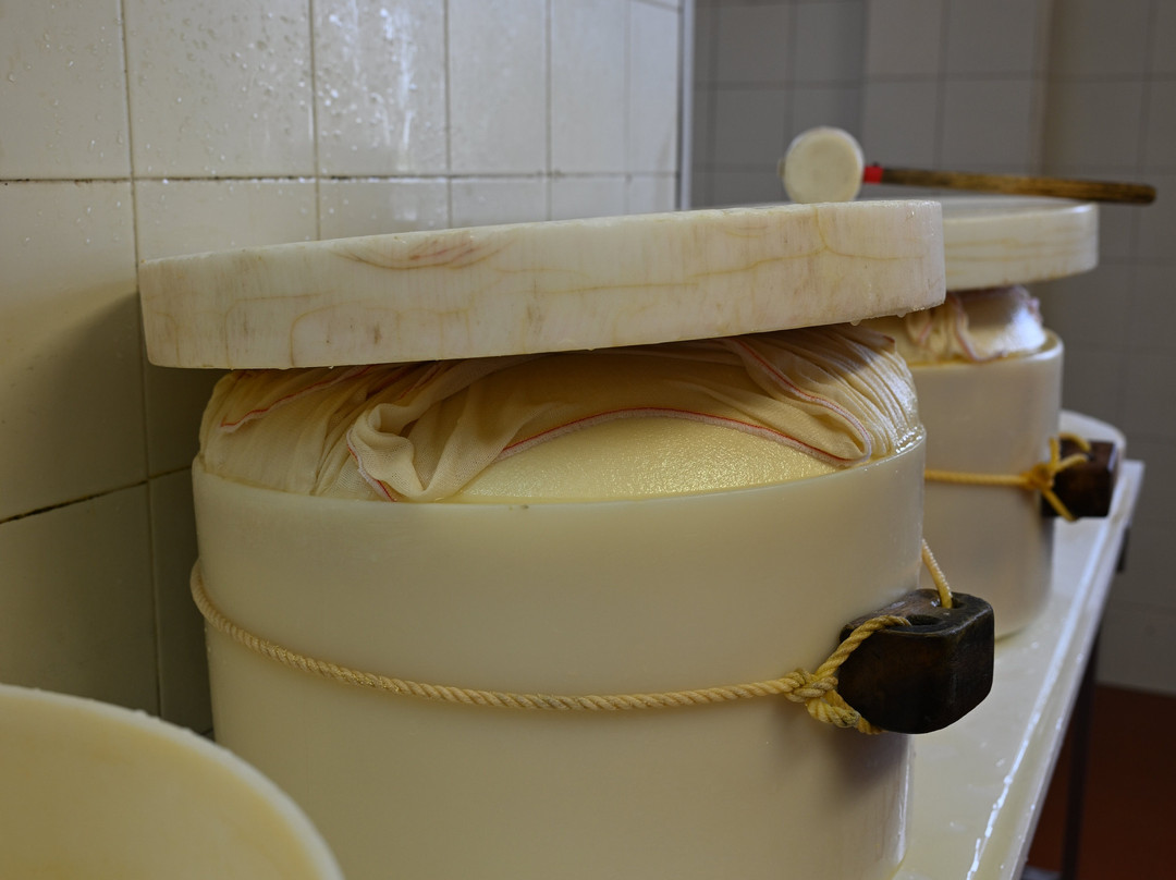 Borgo del Gazzano-帕尔马必去景点