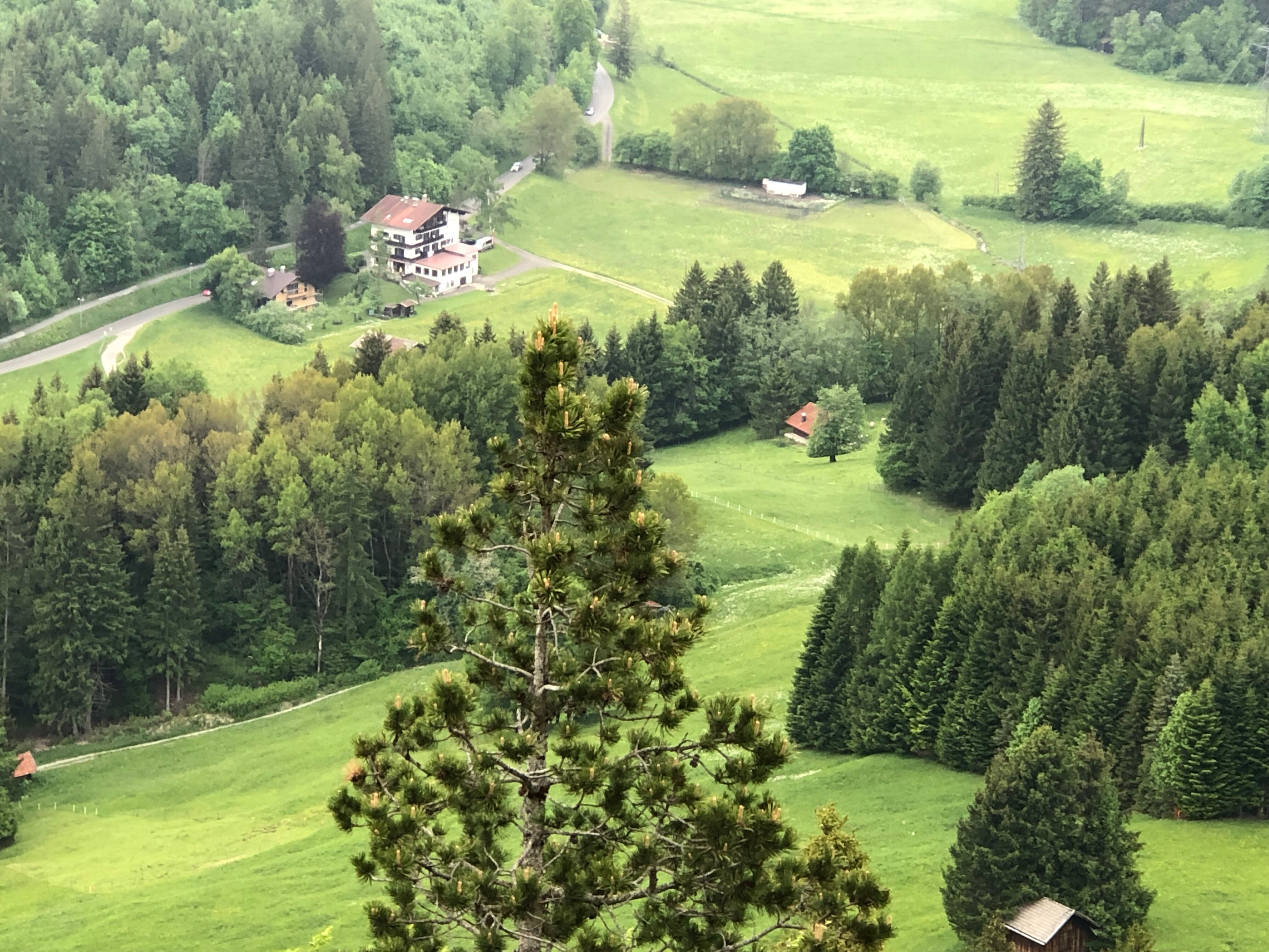 Pension Garni Waldrast-官方