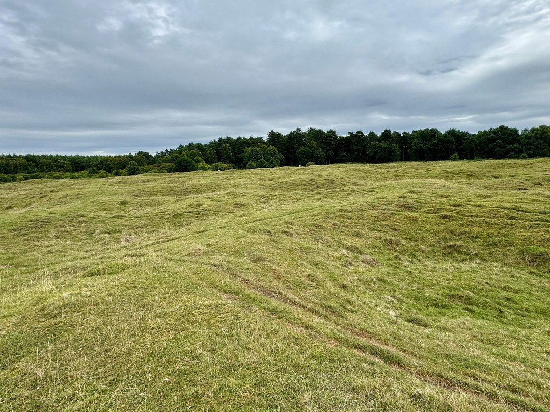 Grimes Graves-塞特福德必去景点