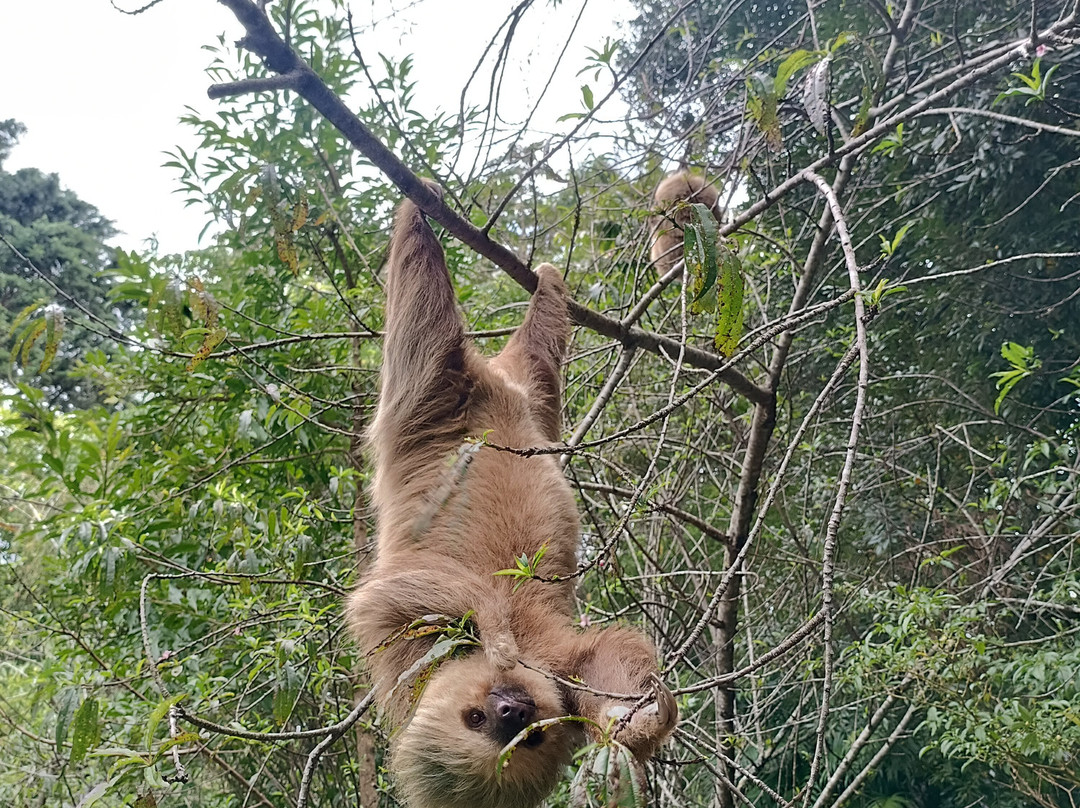 Cabañas Las Ardillas主图