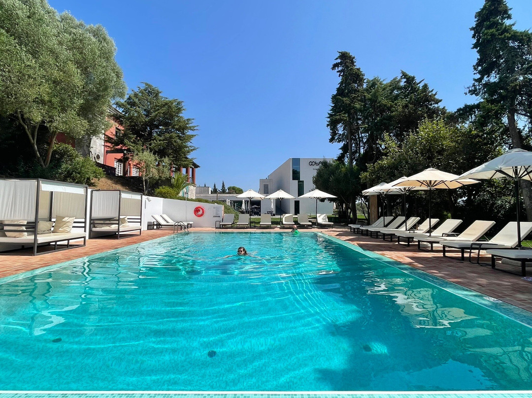 Octant Hotels Santiago主图