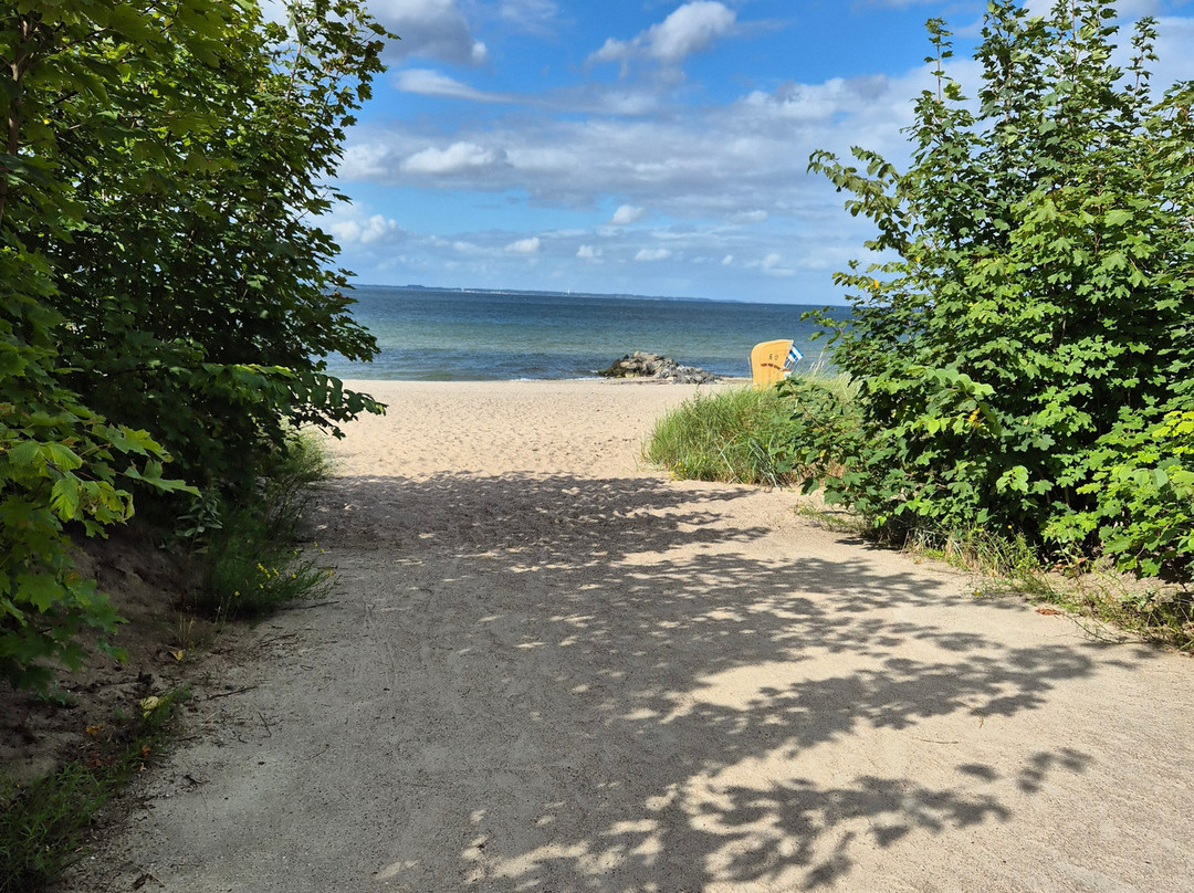 Hotel Yachtclub主图