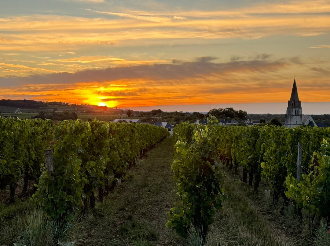 Chateau de Parnay-Parnay必去景点