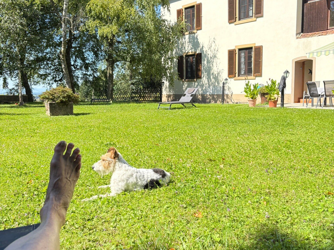 Gästehaus Kaltenbach主图