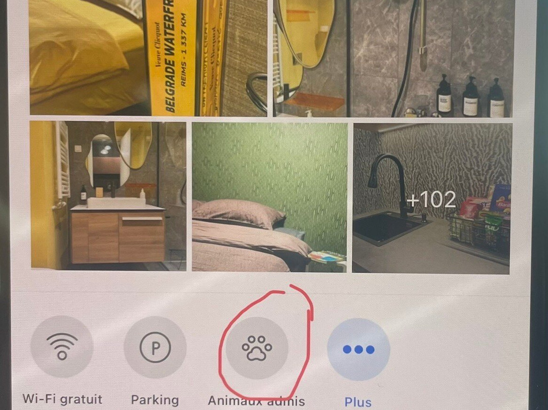 BW Dandy Suites