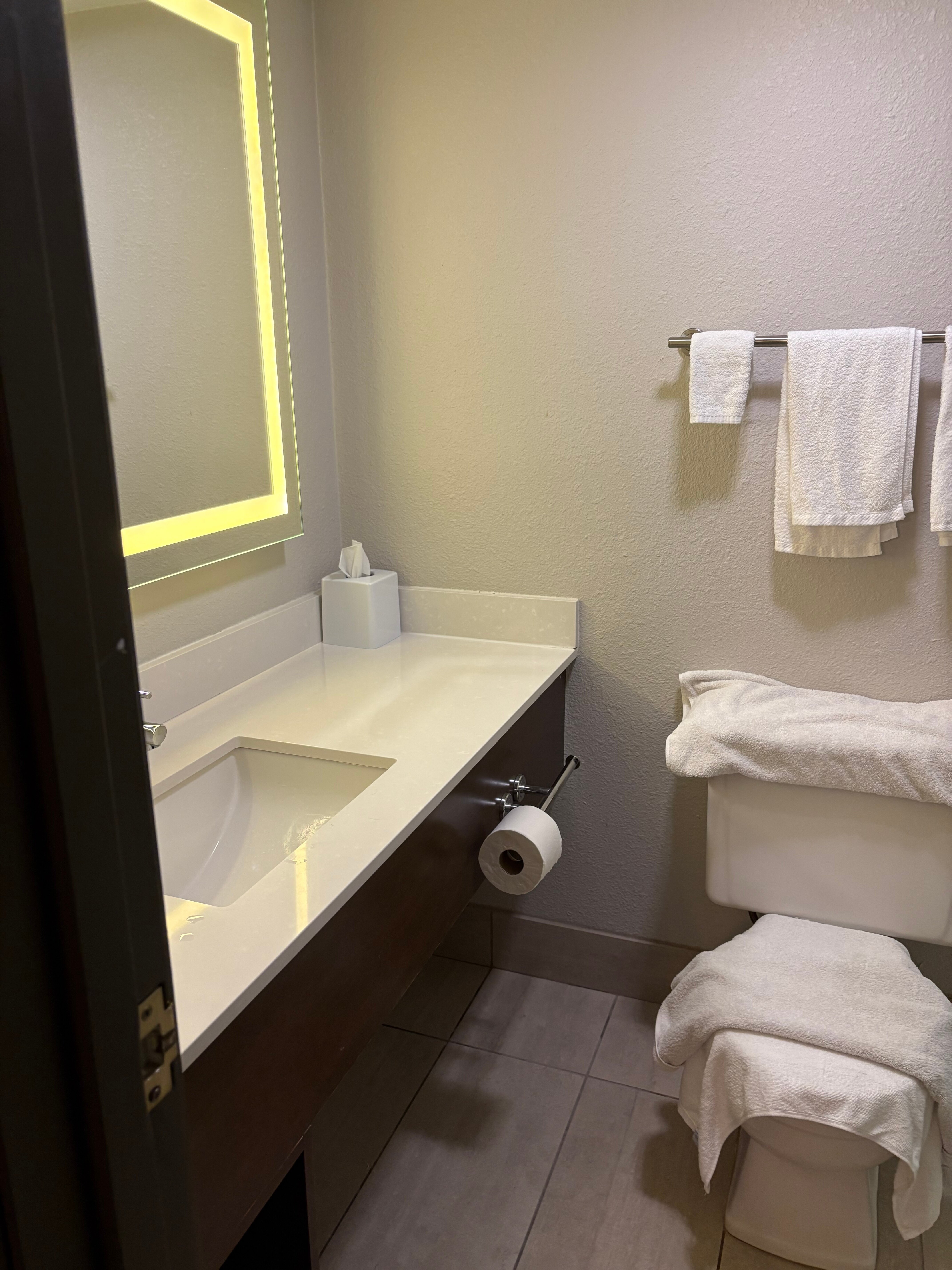 Holiday Inn Express Milwaukee-West Medical Center by IHG-浴室