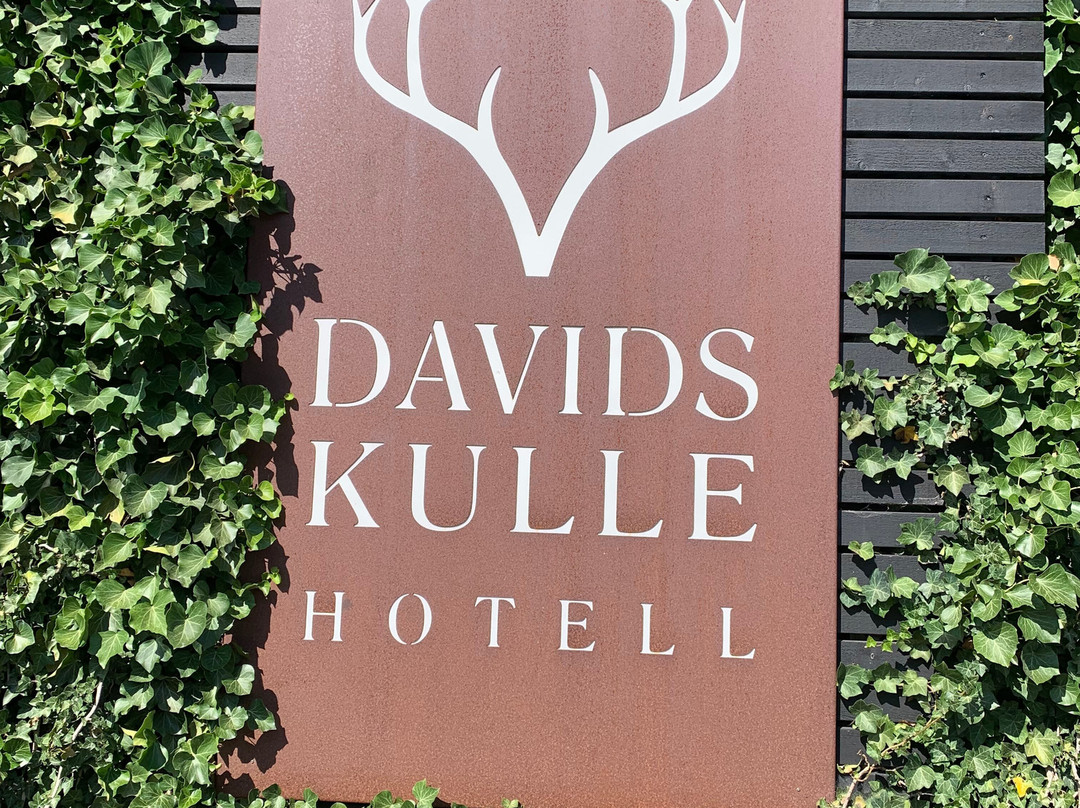 Davids Kulle主图