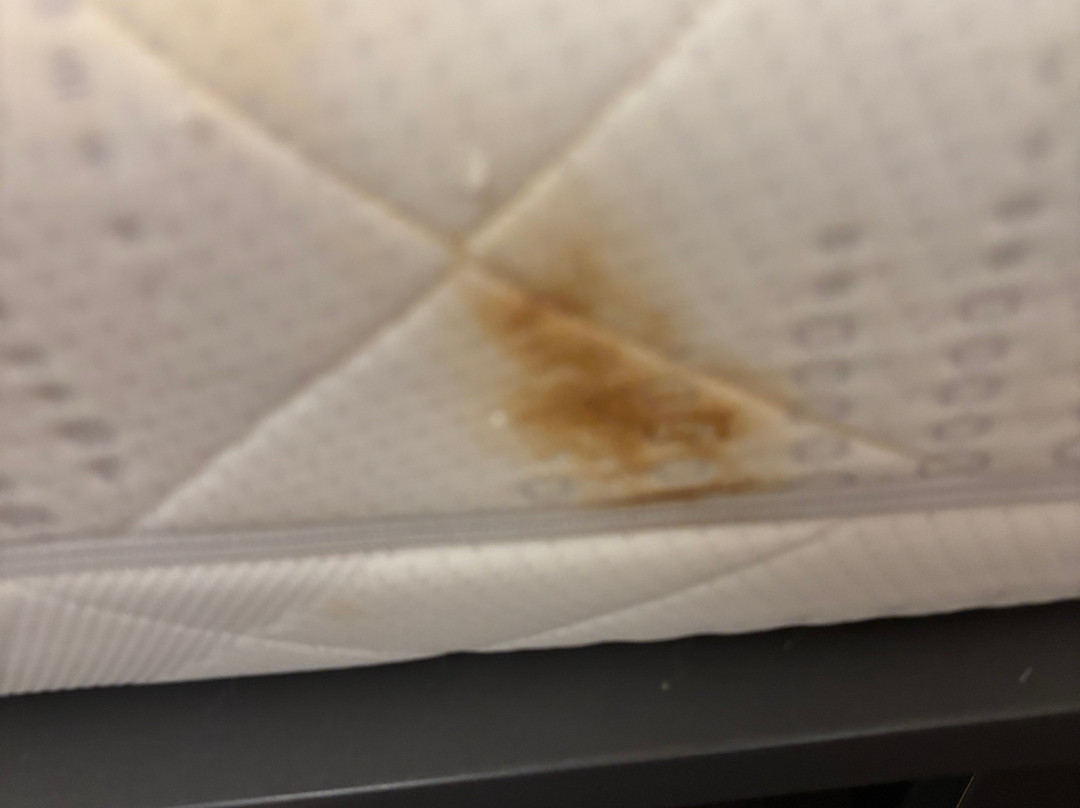 easyHotel Scheveningen主图