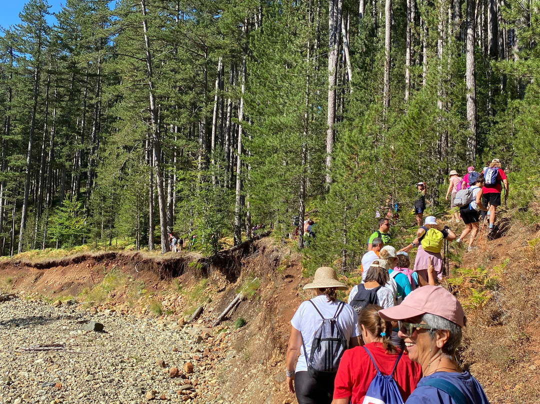 Overland-格雷韦纳必去景点