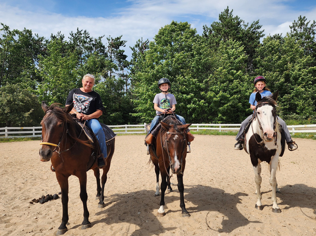 Maple Ridge Stables, LLC-Vanderbilt必去景点