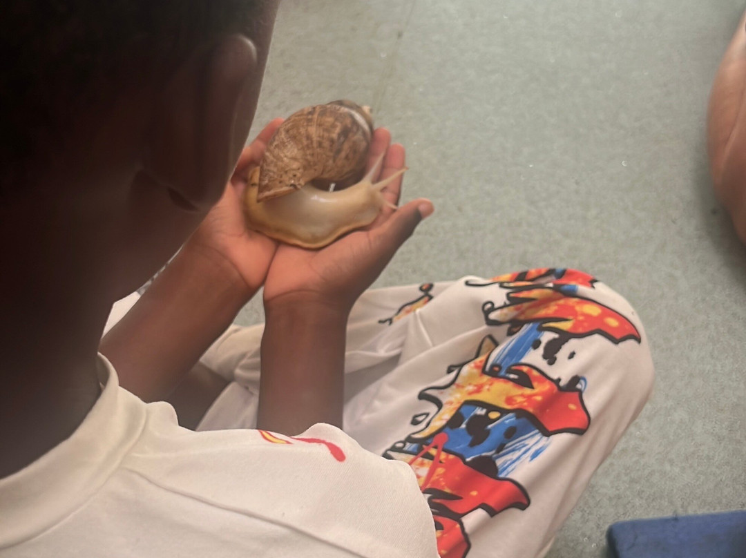 Bromley Parks Environmental Education-奥尔平顿必去景点