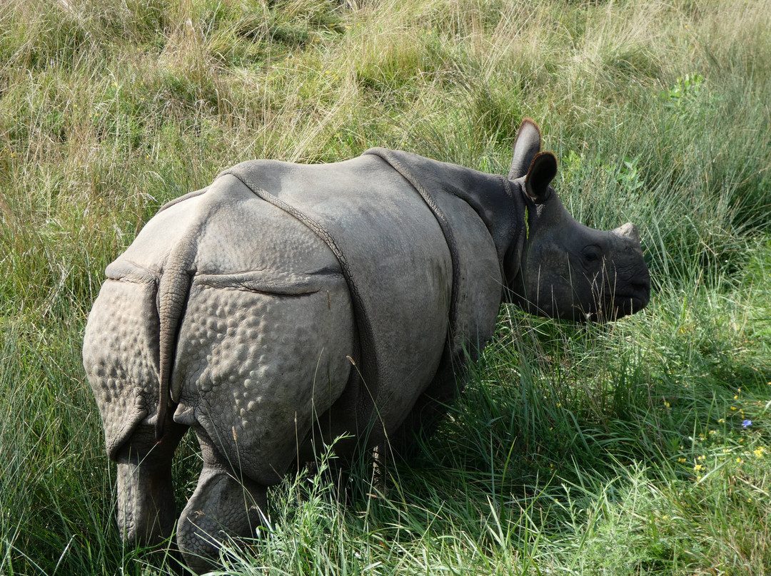 The Wilds-Cumberland必去景点