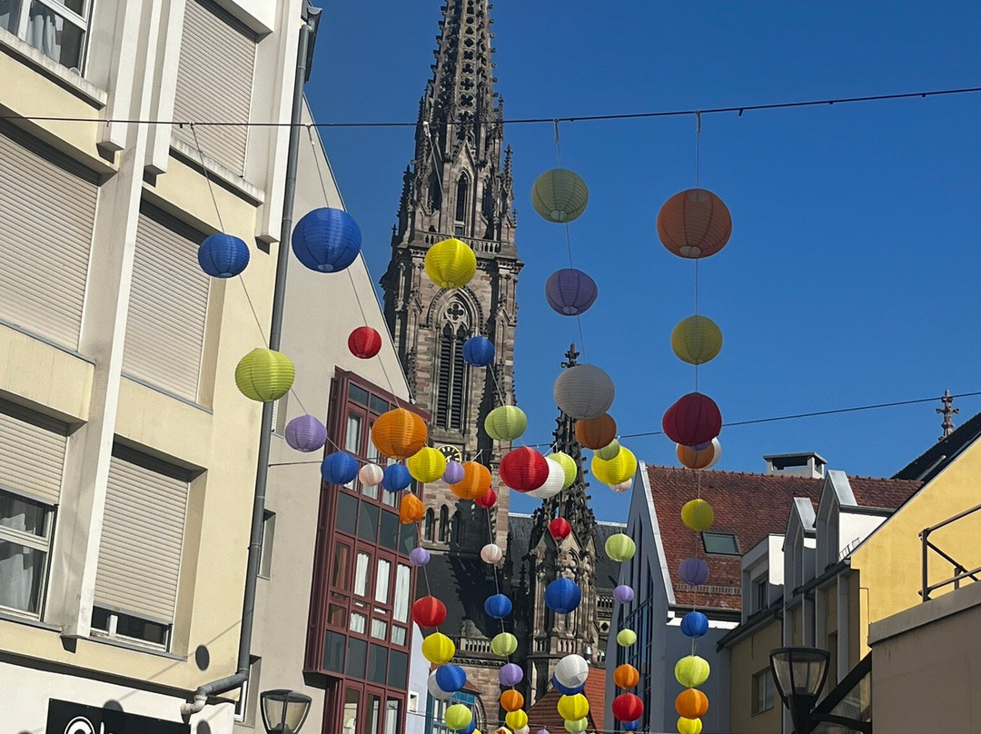 Grand Rue De Colmar-科尔马必去景点
