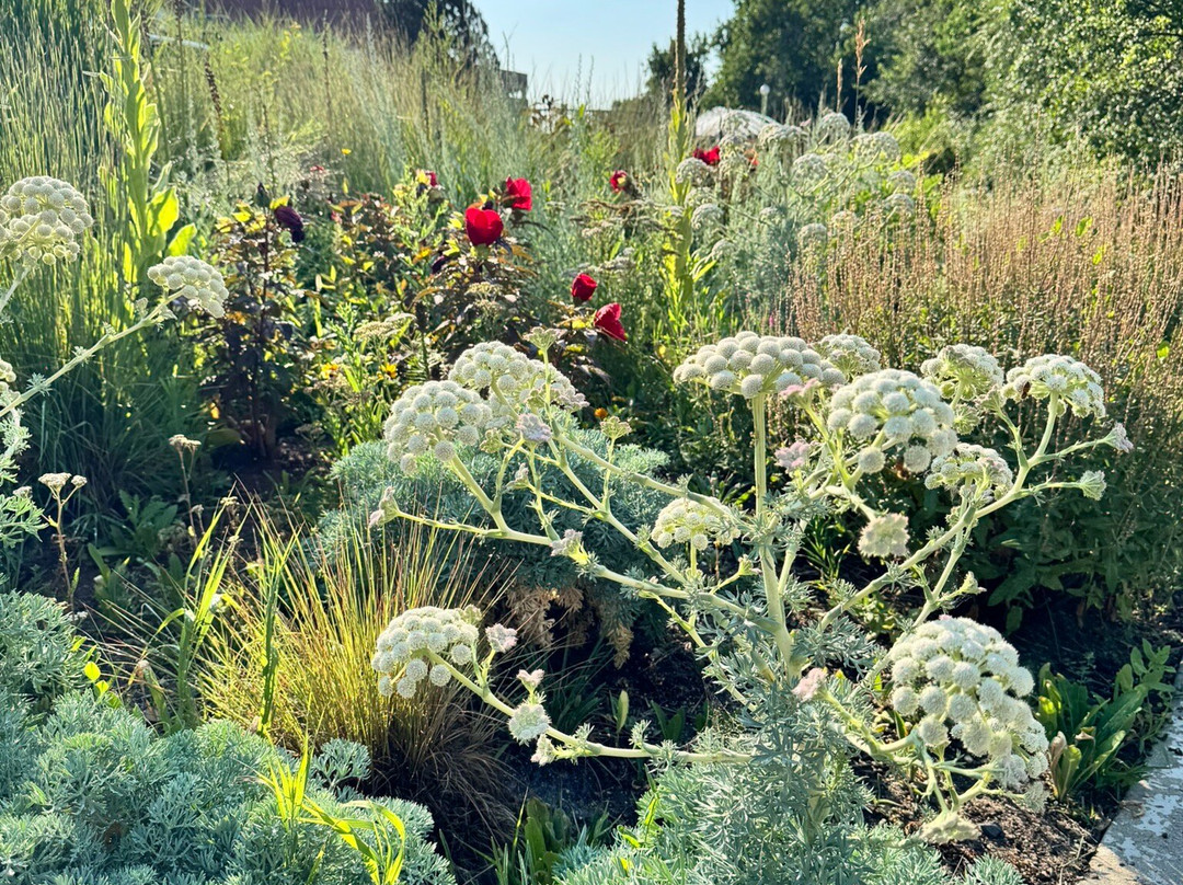 彻丽溪购物中心-丹佛必去景点