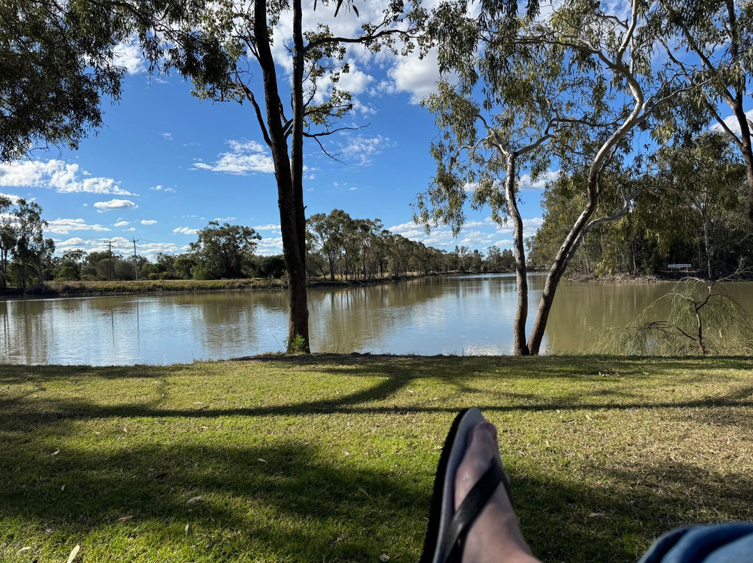 Goondiwindi Botanic Gardens of the Western Woodlands-Goondiwindi必去景点