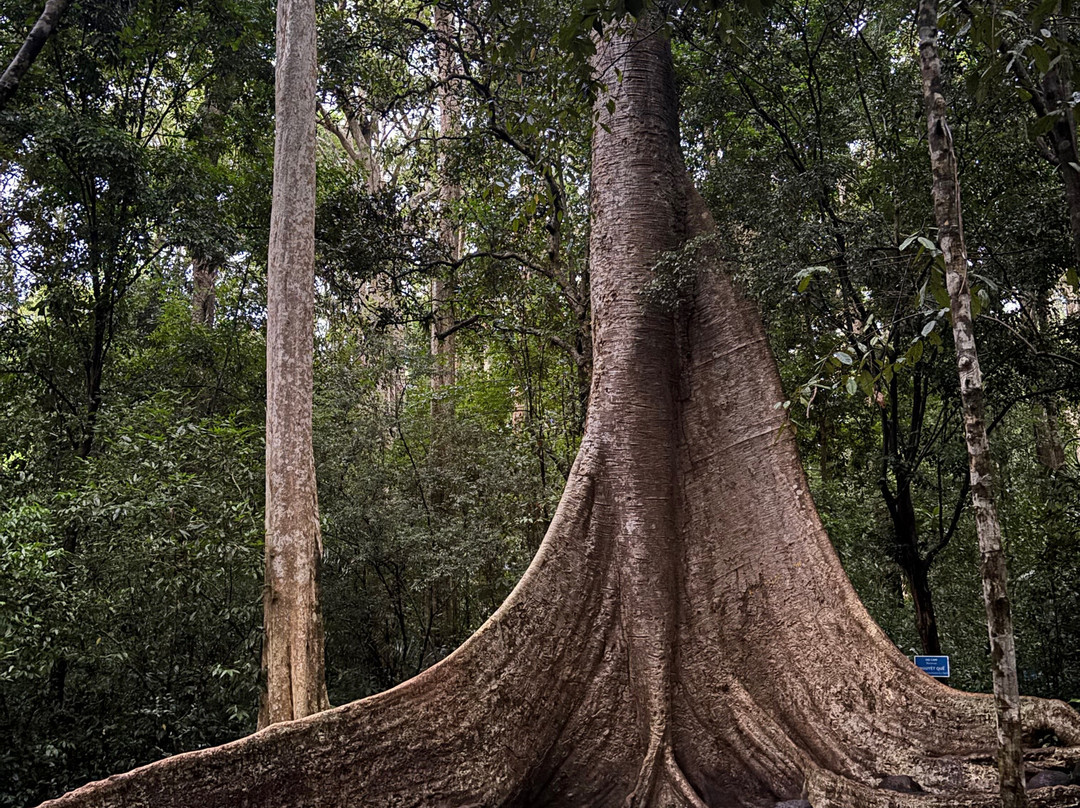 Cat Tien Eco Lodge Homestay-Nam Cat Tien必去景点