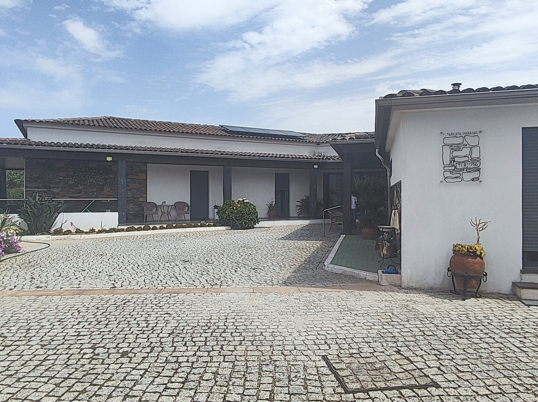 S. Torcato Moradal主图