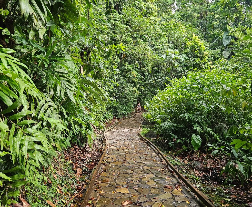 Cascade aux Ecrevisses-Parc National必去景点