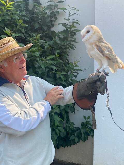 North Devon Hawk Walks-South Molton必去景点