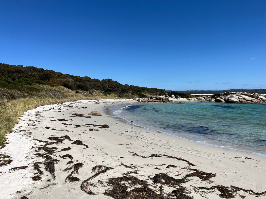 St Helens Point Conservation Area-圣海伦火山必去景点