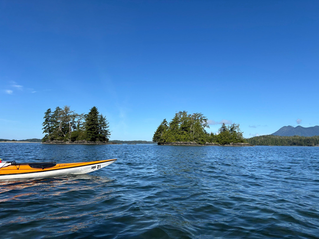 Tofino Sea Kayaking Day Tours-托菲诺必去景点