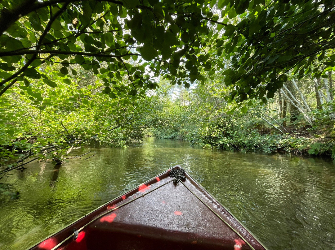 Les Bâteliers Du Courant D'huchet-Leon必去景点