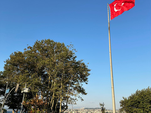 培拉沃尔顿花园公寓酒店主图