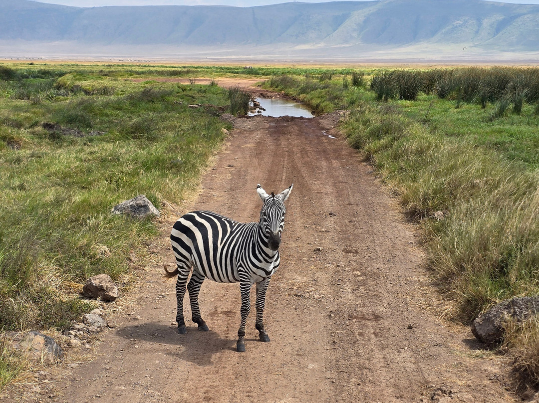 AfrikaKukaye Tours and Safaris-莫西必去景点