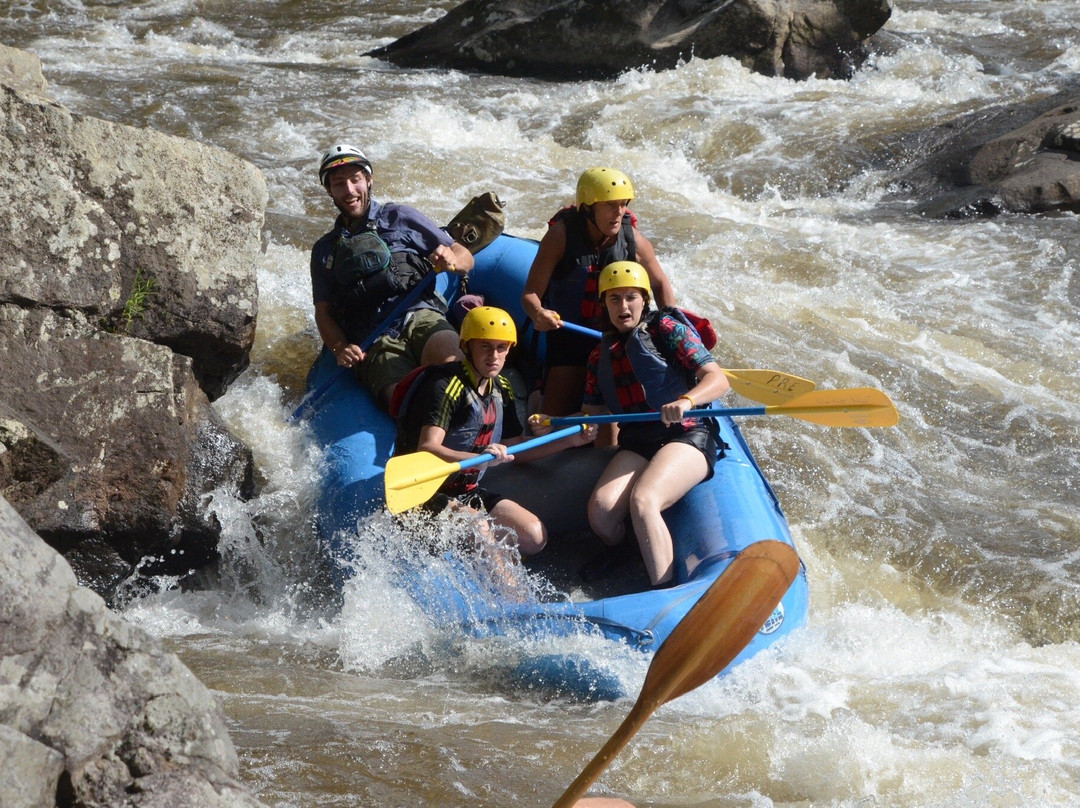 Precision Rafting Expeditions-Friendsville必去景点
