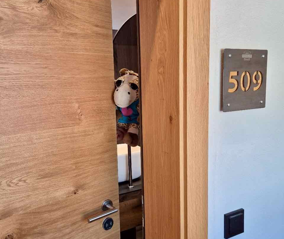 Hotel Fernblick Montafon主图