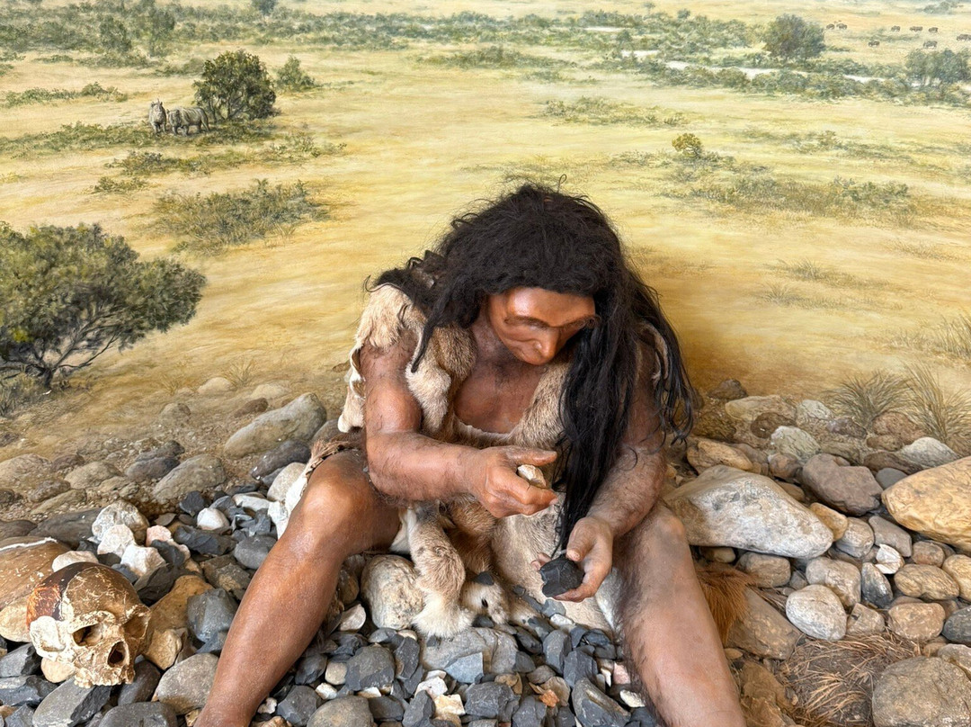 Musée de Préhistoire de Tautavel-Tautavel必去景点