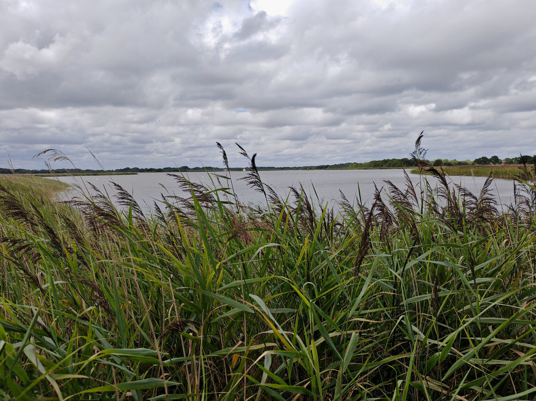 Hickling Broad and Marshes-诺福克郡必去景点