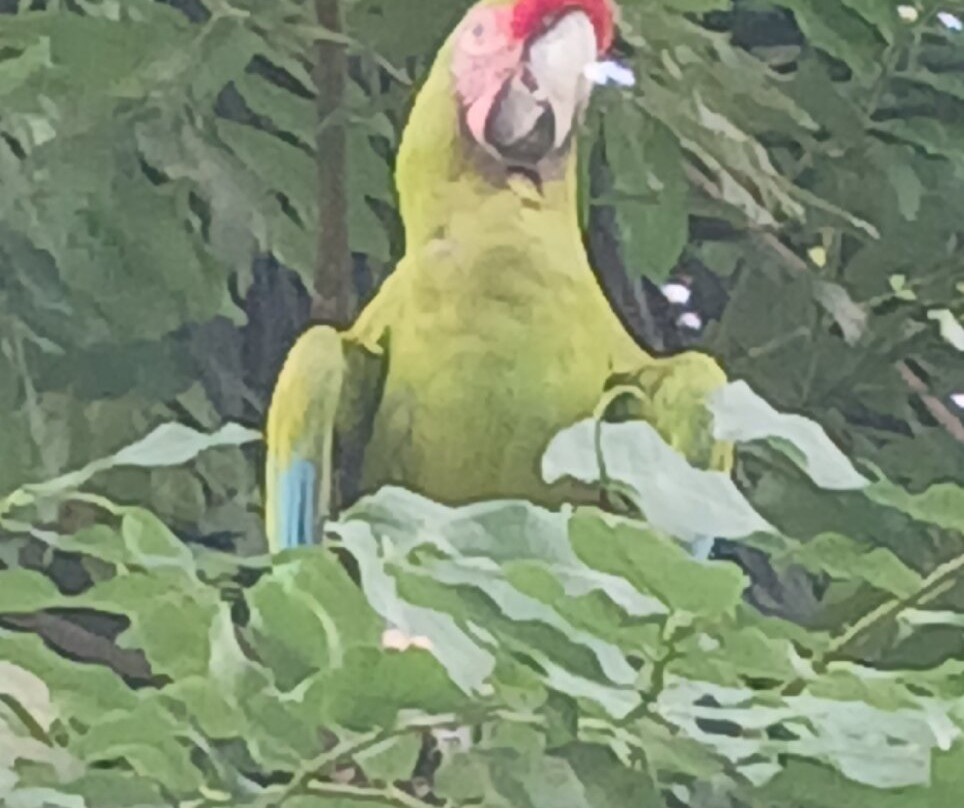 Ara Manzanillo-Manzanillo必去景点