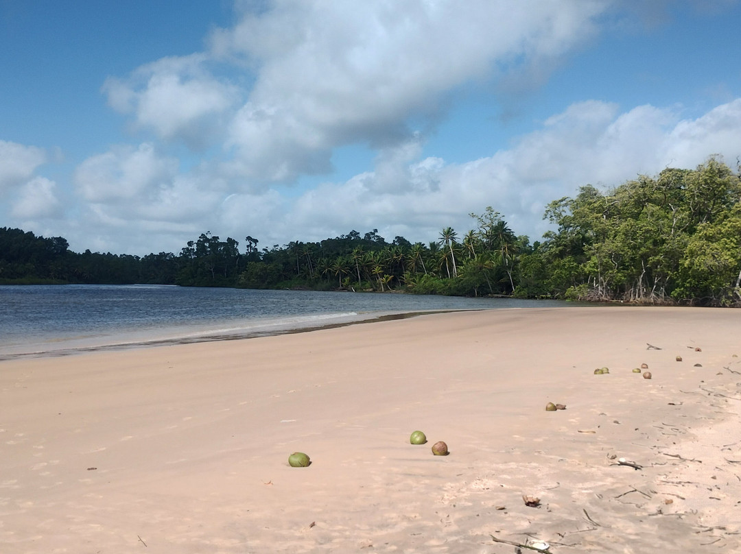 Sao Jeronimo Farm-Soure必去景点